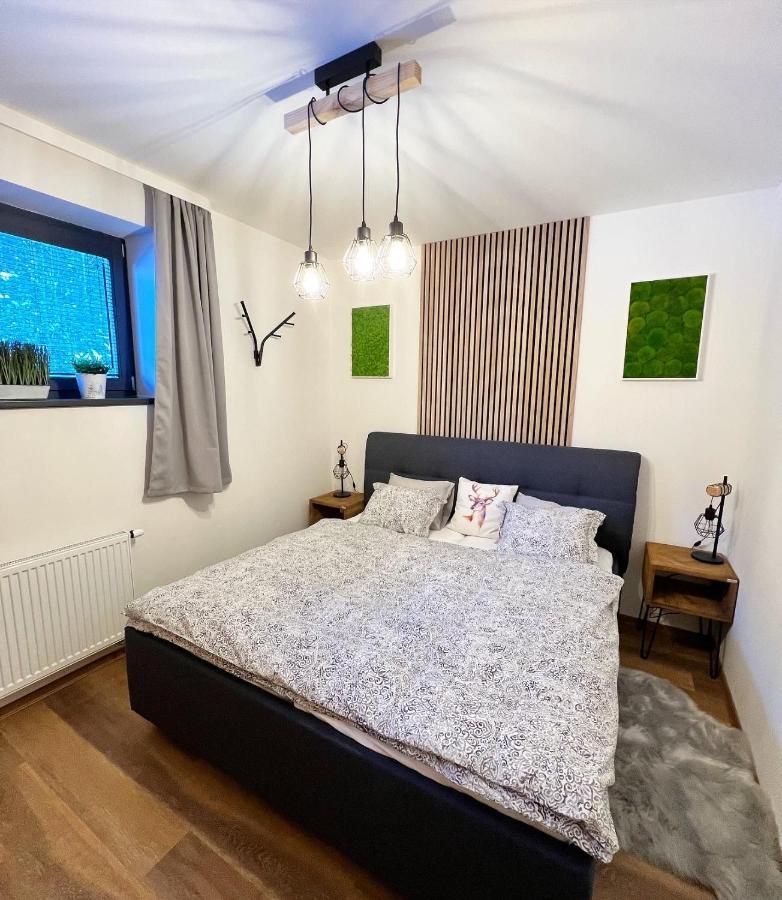 U Jelena Harrachov - Rodinny Apartman U Lesa S Garazi Екстер'єр фото